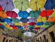 Od szerokiego kąta, poprzez aparat główny, po zoom: 5x, 10x, 120x