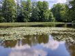 Szeroki kąt, obiektyw główny, przybliżenie 2x