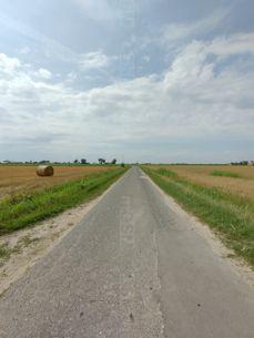 Porównanie zdjęć w ultraszerokim kątem, z aparatu głównego i z 2-krotnym zoomem