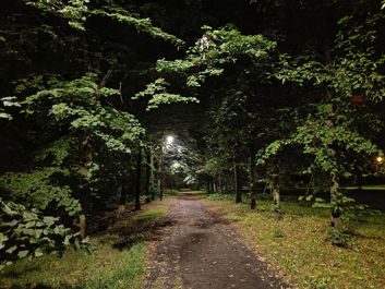 Zdjęcia w trybie auto i w trybie nocnym