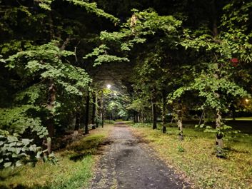 Zdjęcia w trybie auto i w trybie nocnym
