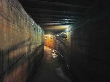 Przykłady zdjęć w trybie auto i  trybie nocnym