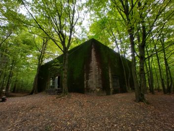 Porównanie zdjęć z głównego i ultraszerokokątnego aparatu