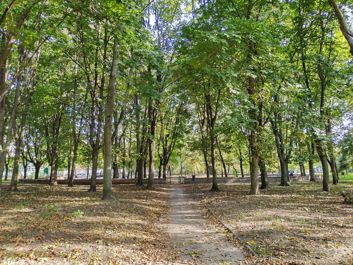 Porównanie zdjęć z głównego i ultraszerokokątnego aparatu