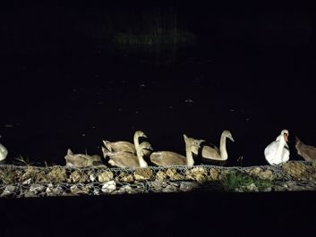 Porównanie trybu auto i trybu nocnego