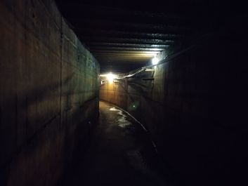 Porównanie trybu auto i trybu nocnego