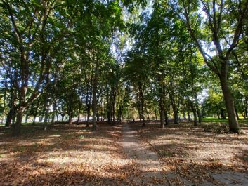 Porównanie zdjęć z głównego i ultraszerokokątnego aparatu