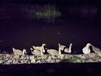 Porównanie trybu auto i trybu nocnego