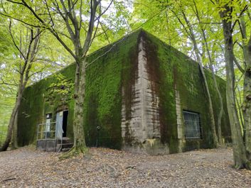 Porównanie zdjęć z głównego i ultraszerokokątnego aparatu