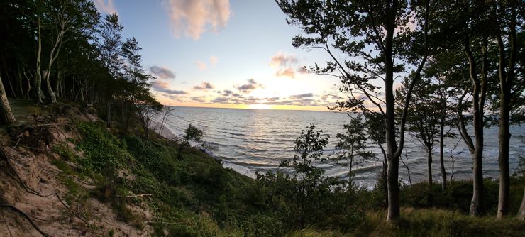 Panoramy
