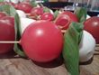Makro