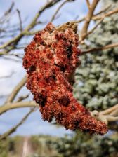 Przykładowe zdjęcia z aparatu