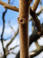 Przykładowe zdjęcia z aparatu