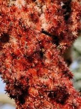 Przykładowe zdjęcia z aparatu