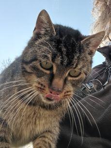 Selfiki z zewnętrznego i wewnetrznego aparatu