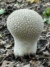 Przykładowe zdjęcia z Huawei Mate Xs 2 Przykładowe zdjęcia z Huawei Mate Xs 2