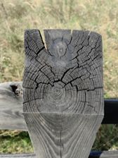 Przykładowe zdjęcia z Huawei Mate Xs 2 Przykładowe zdjęcia z Huawei Mate Xs 2