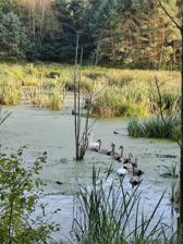 Przykładowe zdjęcia z Huawei Mate Xs 2 Przykładowe zdjęcia z Huawei Mate Xs 2