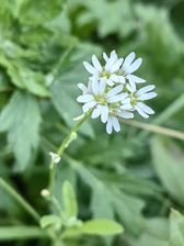 Przykładowe zdjęcia z Huawei Mate Xs 2 Przykładowe zdjęcia z Huawei Mate Xs 2