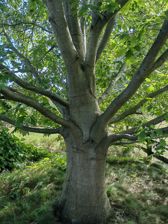 Przykładowe zdjęcia z Huawei Mate Xs 2 Przykładowe zdjęcia z Huawei Mate Xs 2