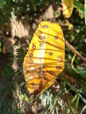 Przykładowe zdjęcia z Huawei Mate Xs 2 Przykładowe zdjęcia z Huawei Mate Xs 2