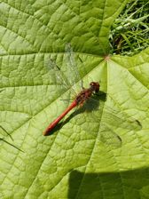 Przykładowe zdjęcia z Huawei Mate Xs 2 Przykładowe zdjęcia z Huawei Mate Xs 2