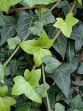 Przykładowe zdjęcia z Huawei Mate Xs 2 Przykładowe zdjęcia z Huawei Mate Xs 2