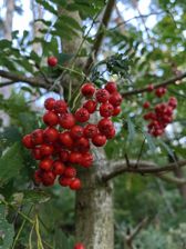 Przykładowe zdjęcia z Huawei Mate Xs 2 Przykładowe zdjęcia z Huawei Mate Xs 2