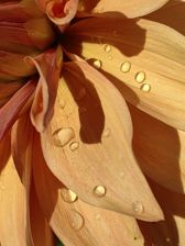 Przykładowe zdjęcia z Huawei Mate Xs 2 Przykładowe zdjęcia z Huawei Mate Xs 2