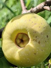 Przykładowe zdjęcia z Huawei Mate Xs 2 Przykładowe zdjęcia z Huawei Mate Xs 2