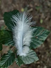 Przykładowe zdjęcia z Huawei Mate Xs 2 Przykładowe zdjęcia z Huawei Mate Xs 2