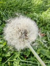 Przykładowe zdjęcia z Huawei Mate Xs 2 Przykładowe zdjęcia z Huawei Mate Xs 2