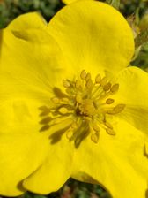 Przykładowe zdjęcia z Huawei Mate Xs 2 Przykładowe zdjęcia z Huawei Mate Xs 2