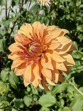 Przykładowe zdjęcia z Huawei Mate Xs 2 Przykładowe zdjęcia z Huawei Mate Xs 2