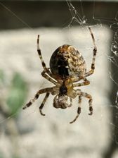 Przykładowe zdjęcia z Huawei Mate Xs 2 Przykładowe zdjęcia z Huawei Mate Xs 2