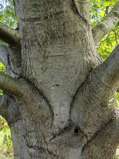 Przykładowe zdjęcia z Huawei Mate Xs 2 Przykładowe zdjęcia z Huawei Mate Xs 2