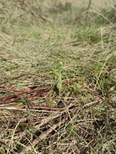 Przykładowe zdjęcia z Huawei Mate Xs 2 Przykładowe zdjęcia z Huawei Mate Xs 2