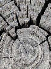 Przykładowe zdjęcia z Huawei Mate Xs 2 Przykładowe zdjęcia z Huawei Mate Xs 2