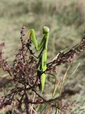 Przykładowe zdjęcia z Huawei Mate Xs 2 Przykładowe zdjęcia z Huawei Mate Xs 2