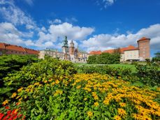 Od szerokiego kąta, przez aparat główny, po teleobiektyw 3x