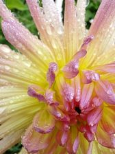 Huawei nova 10 Pro - przykładowe zdjęcia Huawei nova 10 Pro - przykładowe zdjęcia