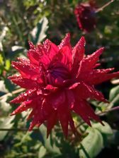 Huawei nova 10 Pro - przykładowe zdjęcia Huawei nova 10 Pro - przykładowe zdjęcia