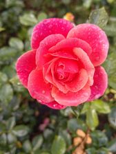 Huawei nova 10 Pro - przykładowe zdjęcia Huawei nova 10 Pro - przykładowe zdjęcia