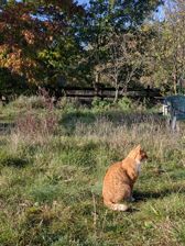 Huawei nova 10 Pro - przykładowe zdjęcia Huawei nova 10 Pro - przykładowe zdjęcia