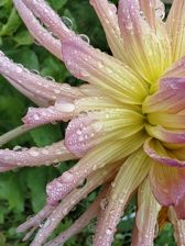 Huawei nova 10 Pro - przykładowe zdjęcia Huawei nova 10 Pro - przykładowe zdjęcia