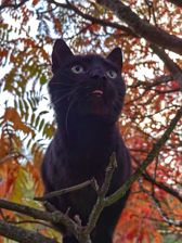 Huawei nova 10 Pro - przykładowe zdjęcia Huawei nova 10 Pro - przykładowe zdjęcia