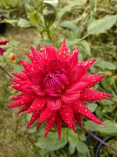 Huawei nova 10 Pro - przykładowe zdjęcia Huawei nova 10 Pro - przykładowe zdjęcia