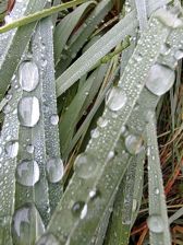 Huawei nova 10 Pro - przykładowe zdjęcia Huawei nova 10 Pro - przykładowe zdjęcia