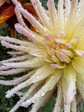 Huawei nova 10 Pro - przykładowe zdjęcia Huawei nova 10 Pro - przykładowe zdjęcia