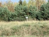 Tak wygląda powiększenie cyfrowe